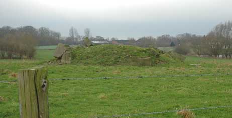 Kurz hinter dem Restaurant »Hermannshöhe« befinden sich auf einer Wiese noch die Überreste eines alten Flakbunkers (Foto). Der soll auch ein »weitreichendes Seegeschütz« gehabt haben, wie Einheimische erzählen. Auch unten am Brodtener Ufer sind dann Betonreste zu finden. Möglich, dass nach dem Krieg hier Munition vergraben wurde. Foto: RD