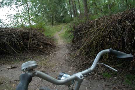 30. August 2005: Von Unbekannten Wanderfreunden werden immer wieder Breschen in den Weidenflechtzaun geschlagen. Foto: ARCHIV TRAVEMUENDE AKTUELL