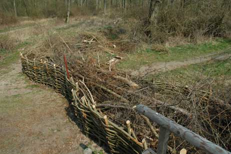 15. April 2005: Der Weidenflechtzaun auf einem der wenigen Bilder, auf denen er mal unversehrt zu sehen ist. Foto: ARCHIV TRAVEMUENDE AKTUELL
