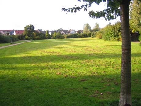 Der Orkneypark mit seinen großzüigen Rasenflächen böte genug Möglichkeiten für ein umzäuntes Hundeauslauf-Gebiet. Auch am Brodtener Ufer wäre Platz. Foto: RD