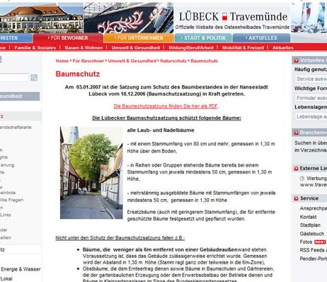 Ausgerechnet mit der nun gestutzten Linde illustriert die Stadt auf travemuende.de die doch recht strenge Baumschutz-Satzung. Screenshot: <b>TA</b>