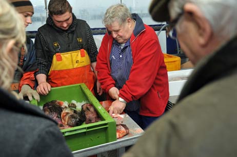 Gerd Luck kennt sich aus mit Seehasen, zeigt seinen Kollegen Steven und Michael, wie man den Fisch richtig filetiert. Später kommt der Seehase in den Räucherhofen. Auch das Publikum im Fischereihafen ist sehr interessiert. Foto: <b>TA</b>