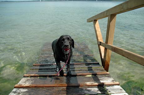 Hundestrand in Travemünde
