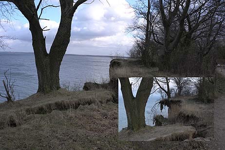 Nun ist er weg, der lange Jahre überhängende Baum. Wer hat ihn nicht gekannt und an dieser Stelle einige Minuten verweilt. Im unten rechts eingefügten Bild ist er zu sehen. Er trotzt mutig seinem unabwendbaren Schicksal, und wird noch von seinen Wurzeln festgehalten. Alle Fotos: <b>KARL ERHARD VÖGELE</b>