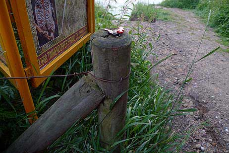 Das »Fundamt« auf seinem Pfosten – das Geld ist weg und der Schlüssel ist noch da. Fotos:<b> Karl Erhard Vögele</b>