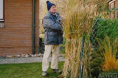 Als der Baum noch kleiner war, hat ihn Georg Weinhold mit Schilfgräsern vor dem Winter geschützt. Foto: <b>PRIVAT</b>