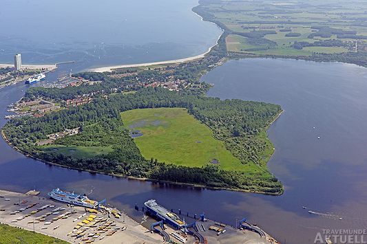 Die Wiese in der Mitte der Halbinsel soll für brütende Vögel erweitert werden. Fotos: <b>KARL ERHARD VÖGELE</b>