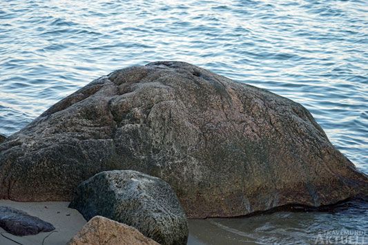 Ob nun »Möwenstein« oder »Mövenstein«: Der Findling kam mit der Eiszeit und spielt in der Travemünder Heimatgeschichte eine besondere Rolle. Foto: <b>TA</b>