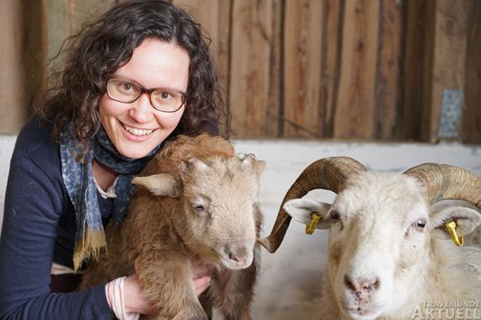 Nicole Erbe vom Landschaftspflegeverein besucht »Gustav« im Stall. Das Mutterschaf hat nichts dagegen einzuwenden. Foto: <b>TA</b>