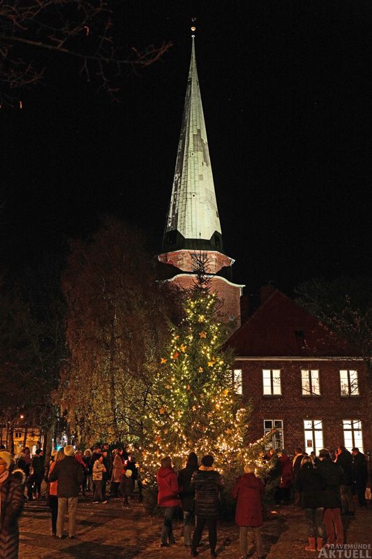 Mittwoch kommt der Weihnachtsbaum