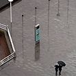 Zum Artikel Schmuddel-Herbst im Januar