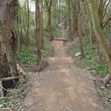 Zum Artikel Riesiger Offroad-Trail im Wald
