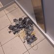 Zum Artikel Wieder Brandstiftung im Europaweg