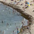 Zum Artikel Ein heißer Tag am Strand