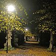 Zum Artikel Goldener Oktober auch bei Nacht – Herbstlich bunte Blätter