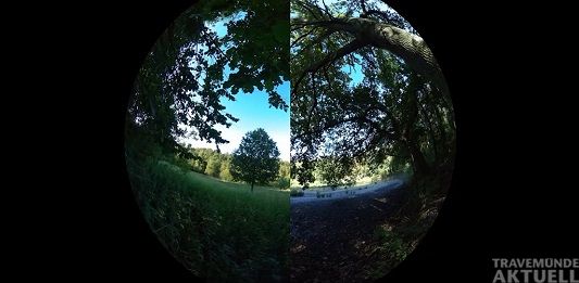 Die Geschichte des Waldhusener Forst ist jetzt virtuell erlebbar.