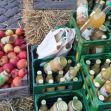 Streuobst-Wiesen-Fest am Sonntag von der Obst-Werkerei in Warnsdorf