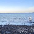 Travemündes Natur und Strand in der Herbst- und Winterzeit