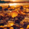 Nächtliche Entdeckungsreise: Der Strand leuchtet in Travemünde