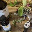 Zum Artikel Kreativ-Workshop beim Landschaftspflegeverein