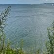 Zum Artikel Natur und Erholung in Travemünde: Dein perfekter Ausgleich am Meer