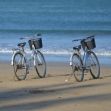 Fahrradcodierung in Travemünde – Polizei schützt vor Diebstahl