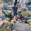 Friedliches und stressfreies Miteinander von Hund und Mensch