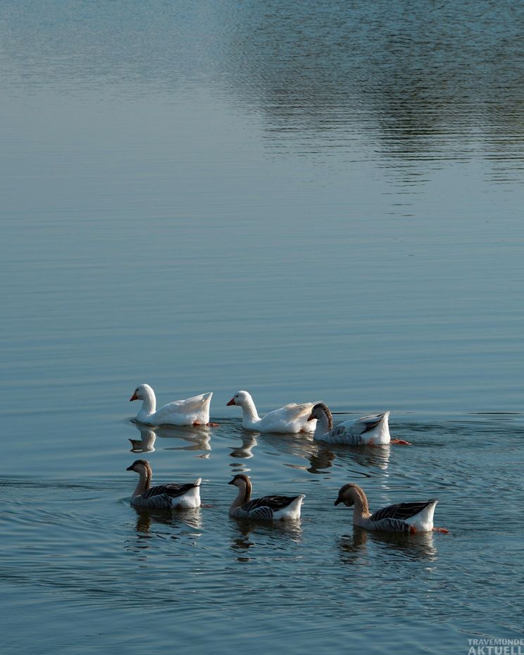 Wanderrouten in Travemünde
