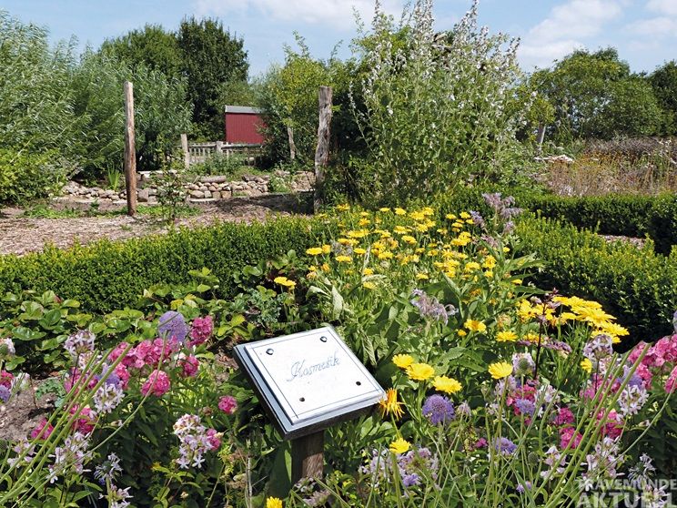 Beginnend mit einem Rundgang durch den Naturgarten oder über die Wiesen rund um die Naturschutzstation, lernt man, wie man Natur für natürliche Kosmetik nutzt. Foto: Landschaftspflegeverein Dummersdorfer Ufer e.V.