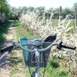 Radtour »Rund um den Priwall« am 13. Juni