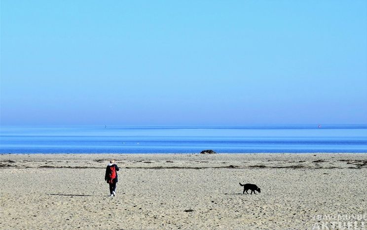 Viele Hundebesitzer nutzen den Oktober mit ihrem Vierbeiner am Strand. Foto: monika1607/pixabay