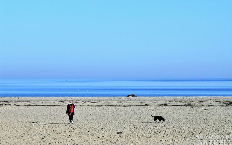 Ob Hunde künftig bereits ab dem 10. Oktober wieder an den Travemünder Strand dürfen, muss nun die Lübecker Bürgerschaft entscheiden. Foto: monika1607 / pixelbay