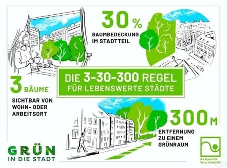 Mehr Stadtgrün soll die Lebensqualität verbessern und Städte widerstandsfähiger gegen Hitze machen. Foto: Greenpeace Lübeck