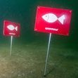 Greenpeace-Aktionstag zum Schutz der Ostsee in Travemünde
