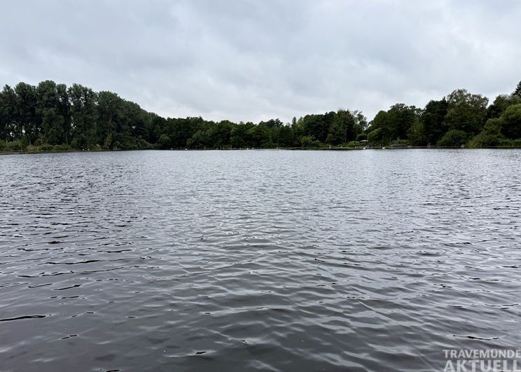 Die zunehmende Verkrautung der Wakenitz beschäftigt die Lübecker Politik. CDU und SPD fordern Maßnahmen, damit das Gewässer weiterhin für Naherholung, Baden und Wassersport genutzt werden kann. Foto: TA