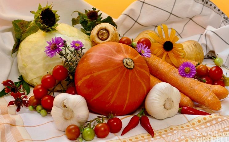 Erntedank mit Herz: Die Neuapostolische Kirche Travemünde sammelt Lebensmittel und Hygieneartikel für die Travemünder Tafel. Foto: brigitte-elsner/unsplash