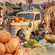 Kürbiszeit und Halloween bei Karls in Warnsdorf