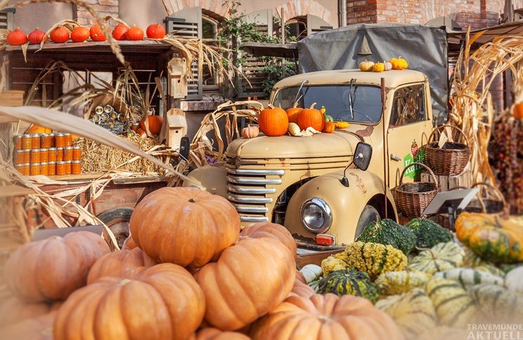 Herbstliche Dekoration und saisonale Produkte bringen die gemütliche Jahreszeit auch in den Manufakturen-Markt bei Karls. Foto: Karls Erlebnis-Dorf